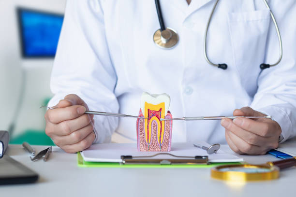 Best Emergency Treatment for Jaw Pain or Injury in North Les, AK